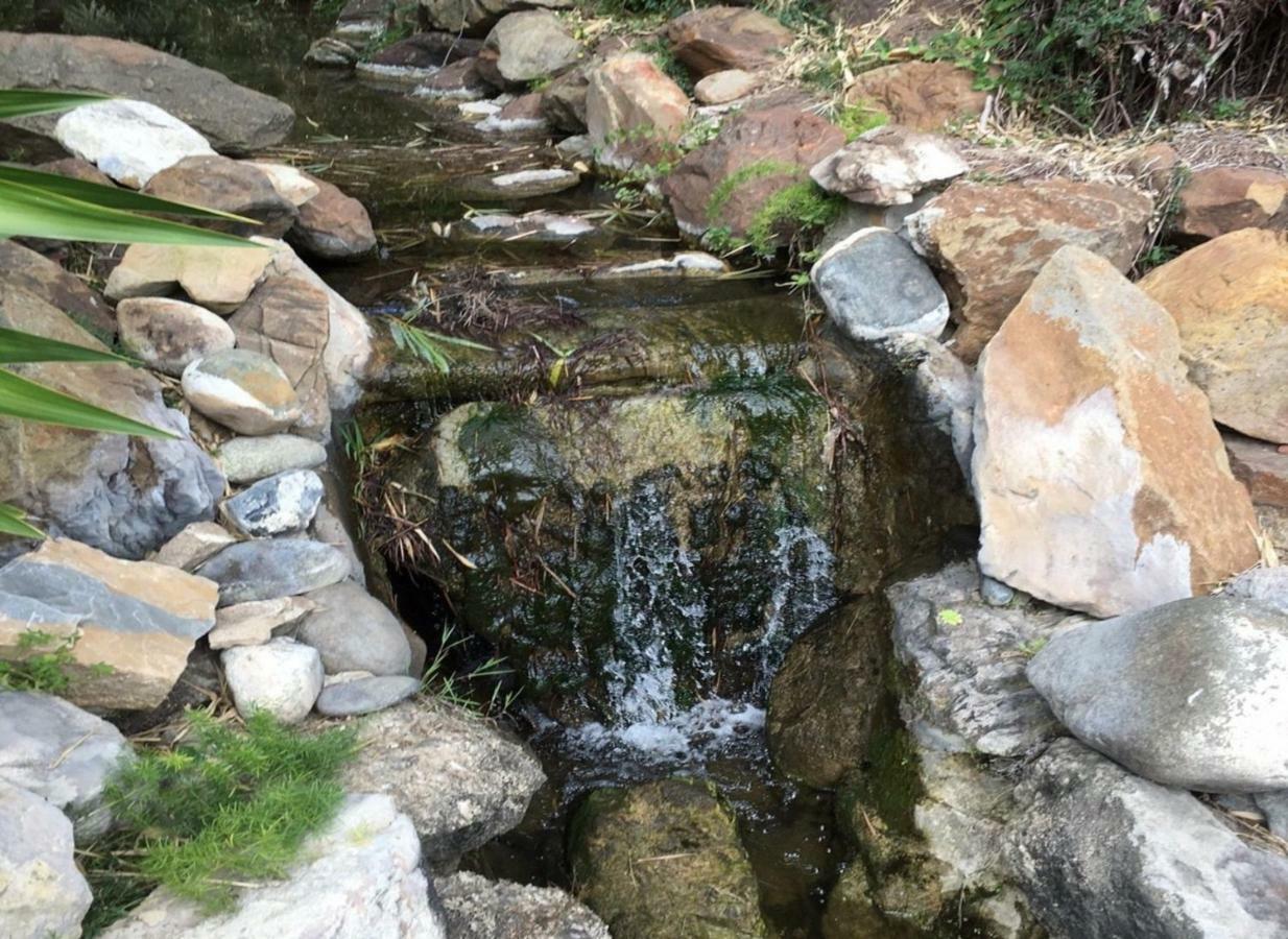 Jardines De Las Golondrinas Marbella Zewnętrze zdjęcie